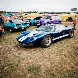 SPORTING BEARS DREAM RIDES