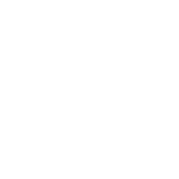 JESSIE J