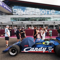 SPORTING BEARS DREAM RIDES