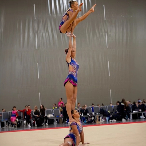 TEES VALLEY GYMNASTICS