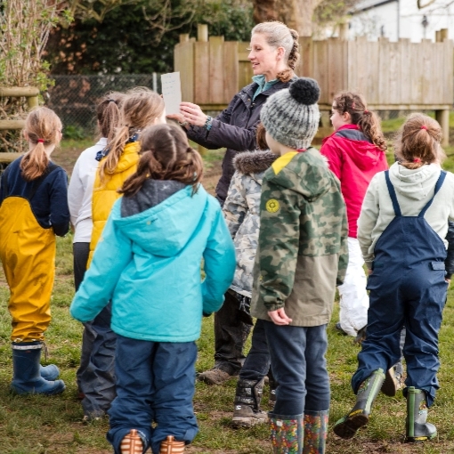 Explore The Natural World with The Forest School