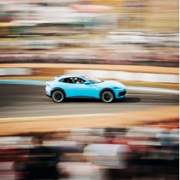THE CARFEST PADDOCK