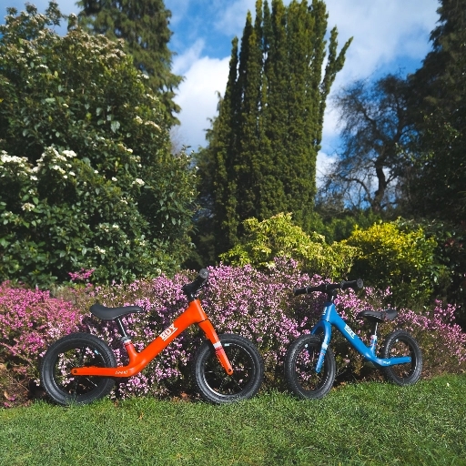 SPORTING BEARS DREAM RIDES
