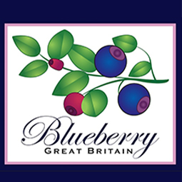 BLUEBERRY