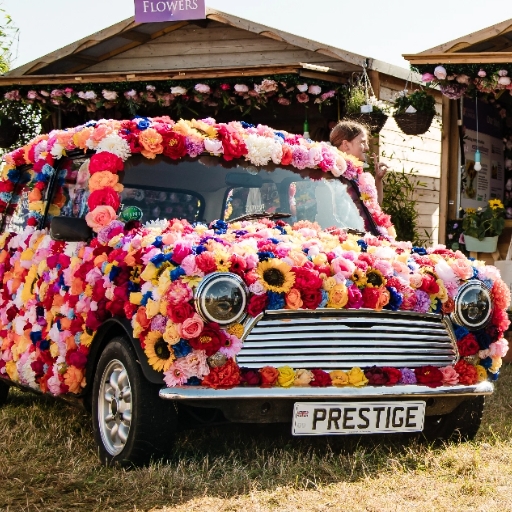 cars-img