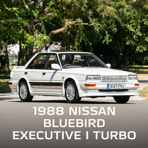 1987 PEUGEOT 205 GTI DIMMA