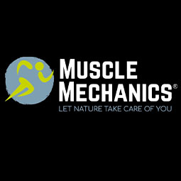 Muscle Mechanics